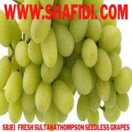 FRESH SULTANATHOMPSON SEEDLESS GRAPES